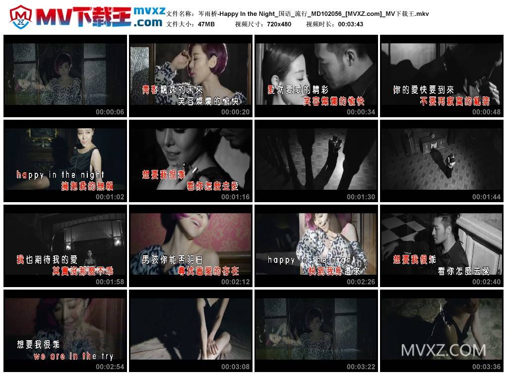 岑雨桥-Happy In the Night_国语_流行_MD102056